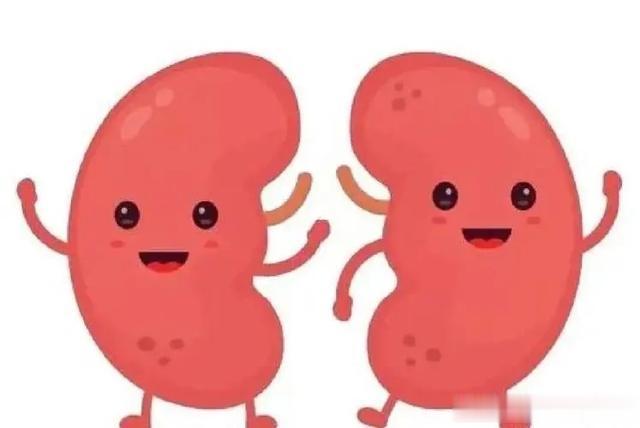 肝汗、肺汗，肾汗怎么办？3个中成药，止汗调脏，斩断出汗之根！