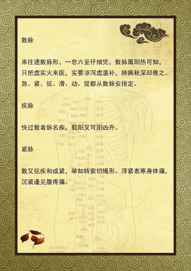 揭开号脉的面纱：中医教你号脉，附号脉歌诀，收藏起来一起学学吧