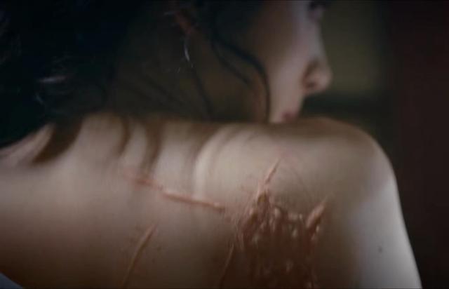 东、北卫视力捧,40集谍战大剧来了!看了阵容我想说,不追不行了