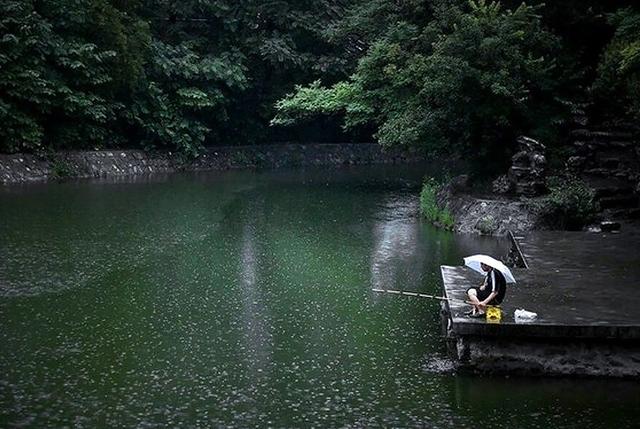 阴雨绵绵的梅雨季，江河水质浑浊涨水快，却是钓鱼佬的“爆护”季