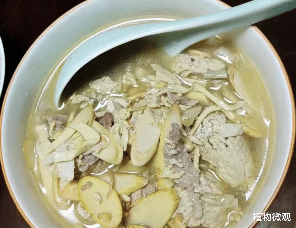 棕包,又称棕鱼、棕笋,有3大作用,价值极高,农民朋友要了解!