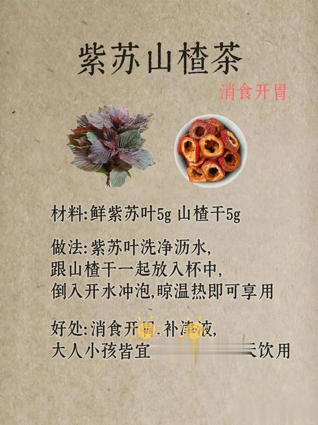 夏天养生最好的食材——紫苏，帮你赶走多年寒湿