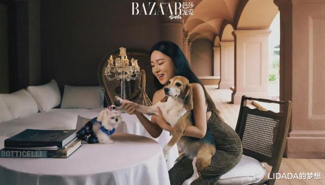 看了43岁霍思燕携10只狗8只鸡拍封面的照片，我才明白“女人微胖”才是极品