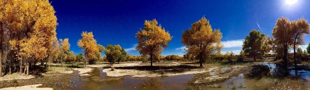 十一神宝典：被遗忘的手机摄影功能 帮你拍出旅行好照片