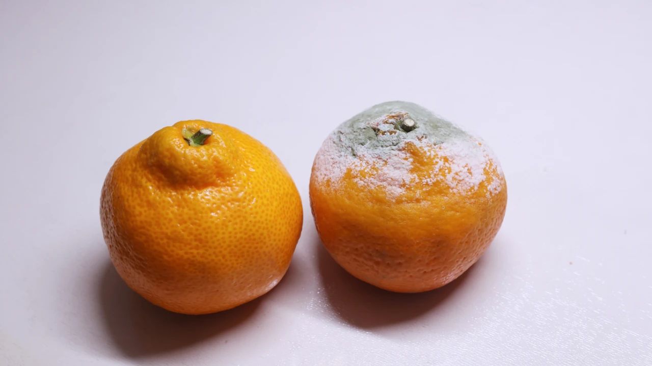 呵护肝脏健康，饮食至关重要，这3类蔬菜不适合养肝，要尽早了解