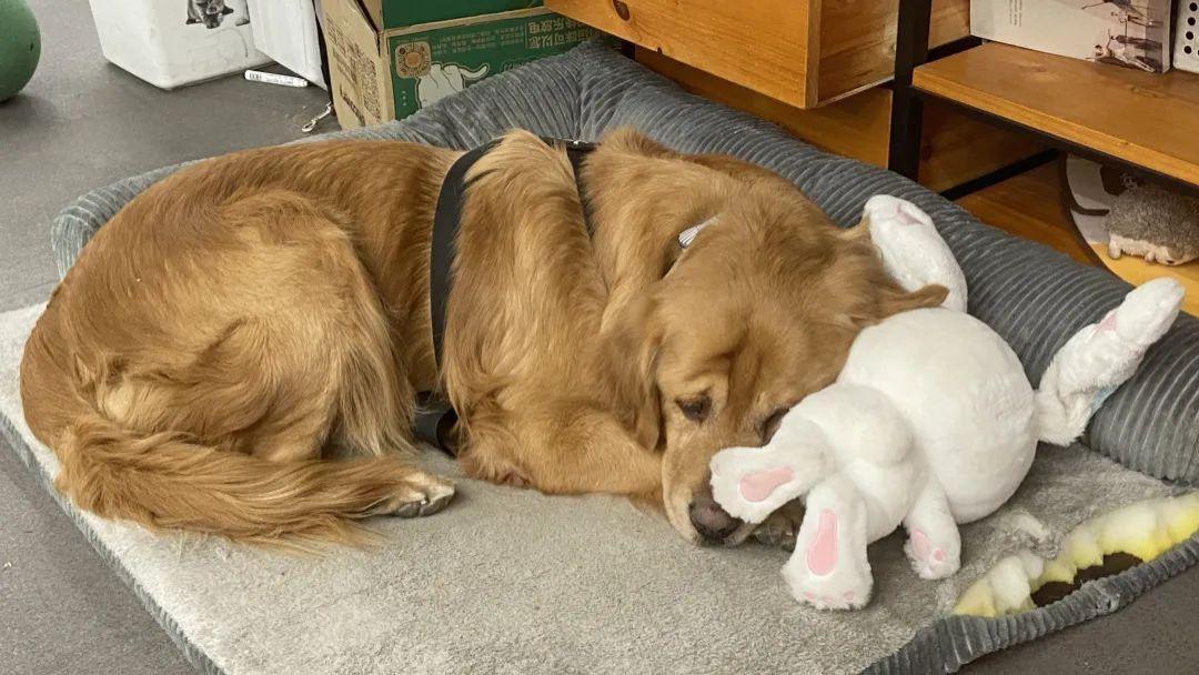 豆包这玩意谁研究的呢，这视频模型真有点攒劲