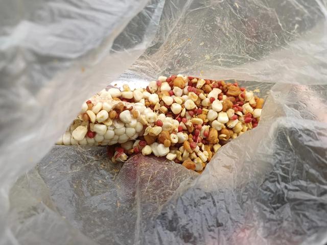 小雨整下了一天，小鱼闹钩厉害，鱼没有钓多少，把小轻竿搞折了