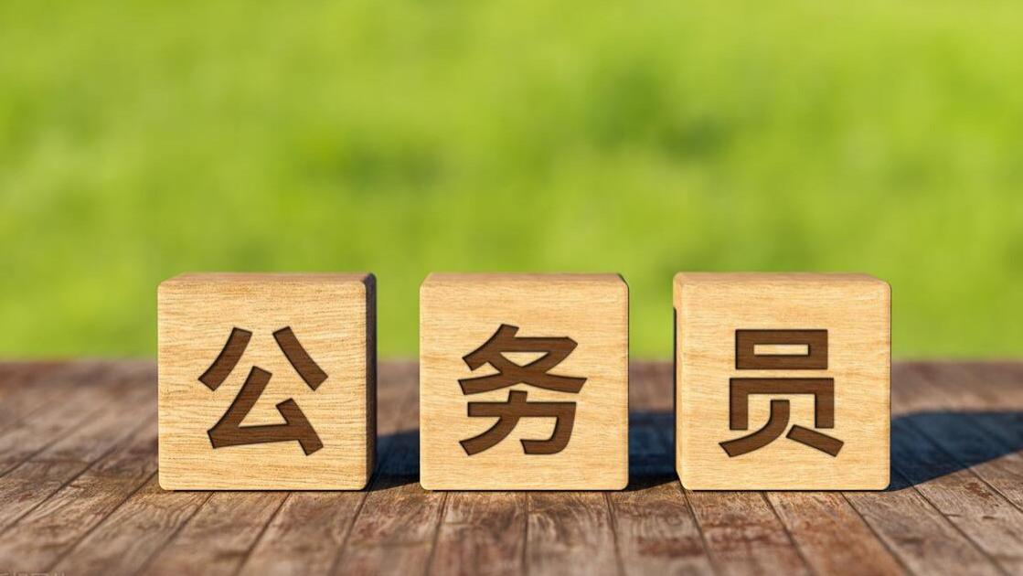 体制内不成熟的行为