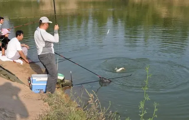 钓鱼新手秒变钓鱼大佬的宝典,虽新意不多,但实用性挺强!