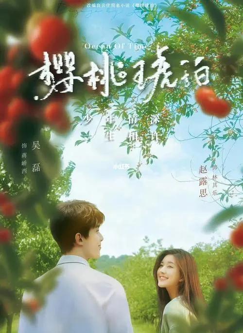 正午阳光跨界新篇章:携手流量巨星,重返大银幕辉煌!