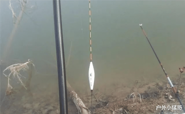 钓鱼大师的秘籍,九大技巧与七步曲,学会你也能成高手