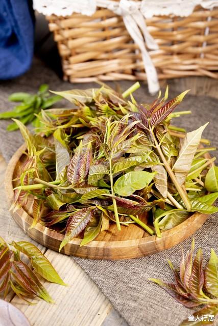 香椿靠边站，它才是“春天第一鲜”，包饺子吃鲜嫩多汁，别错过吃！