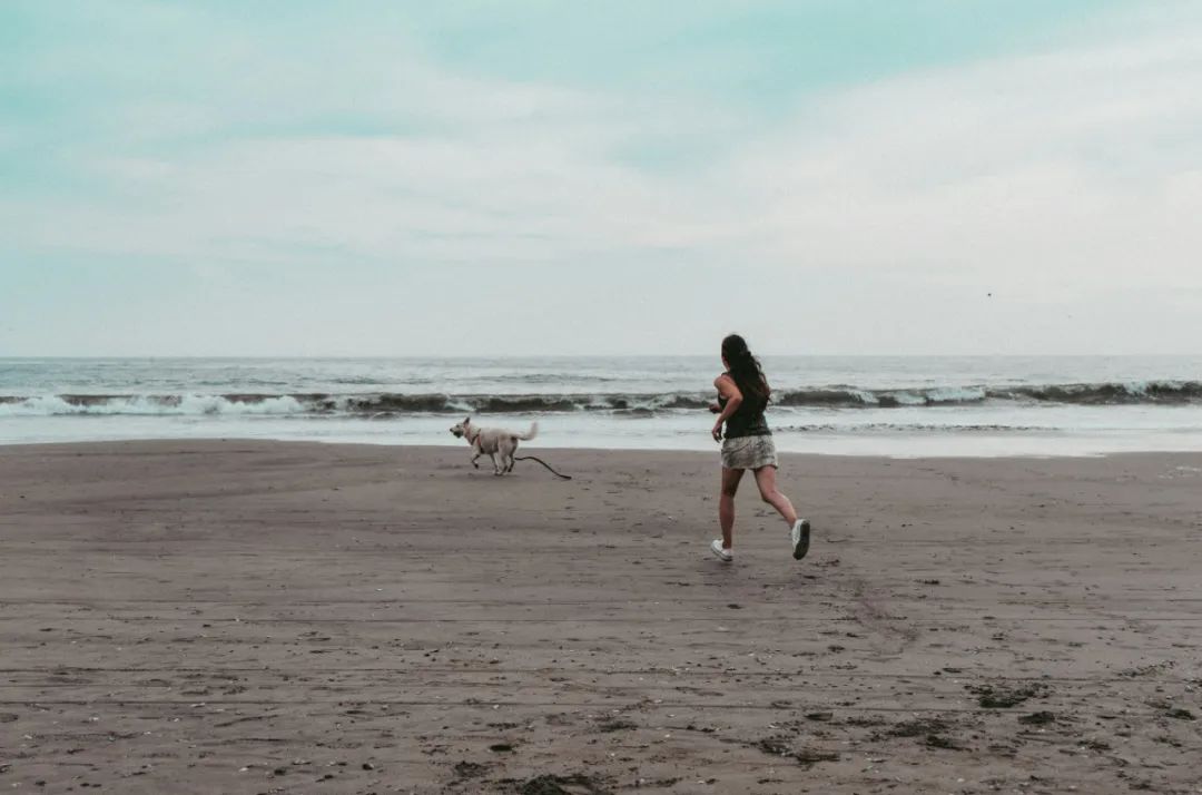 跑完半马并不难！新手只需掌握这三个要素，完赛无压力！