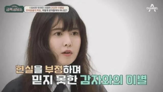 具惠善曝4年与6只爱犬离别！直认过了2年仍放不下