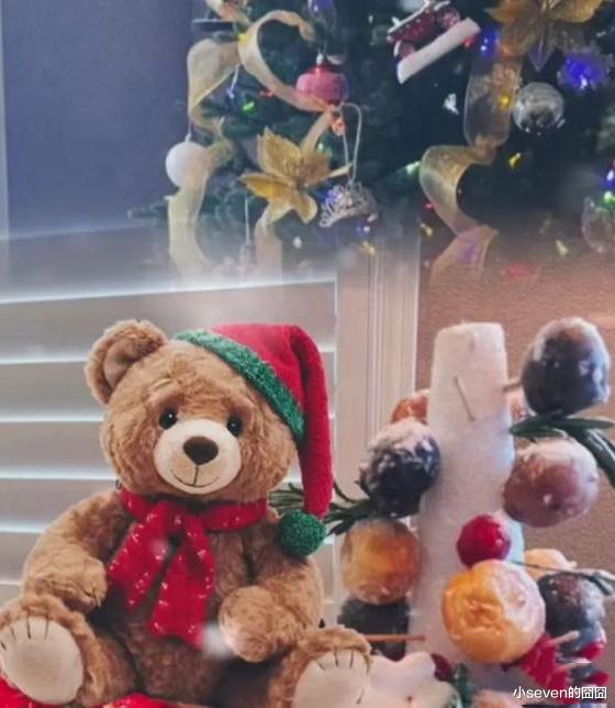郑爽新消息：过圣诞节晒照，布置得精致却冷清，总是发文怀念当初