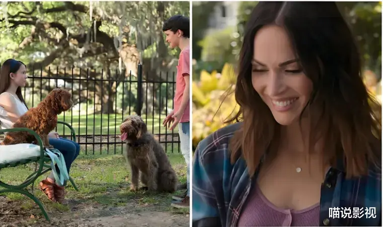 巨星也失足!2024年六大赔钱货,刘德华领跑,吴京包贝尔上榜