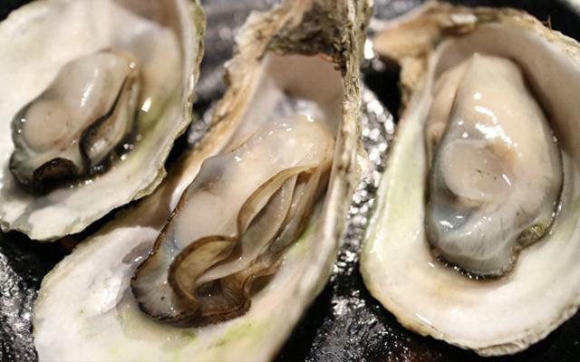 明明长得都一个样,为啥一个叫生蚝,一个叫牡蛎?原来差别在这!