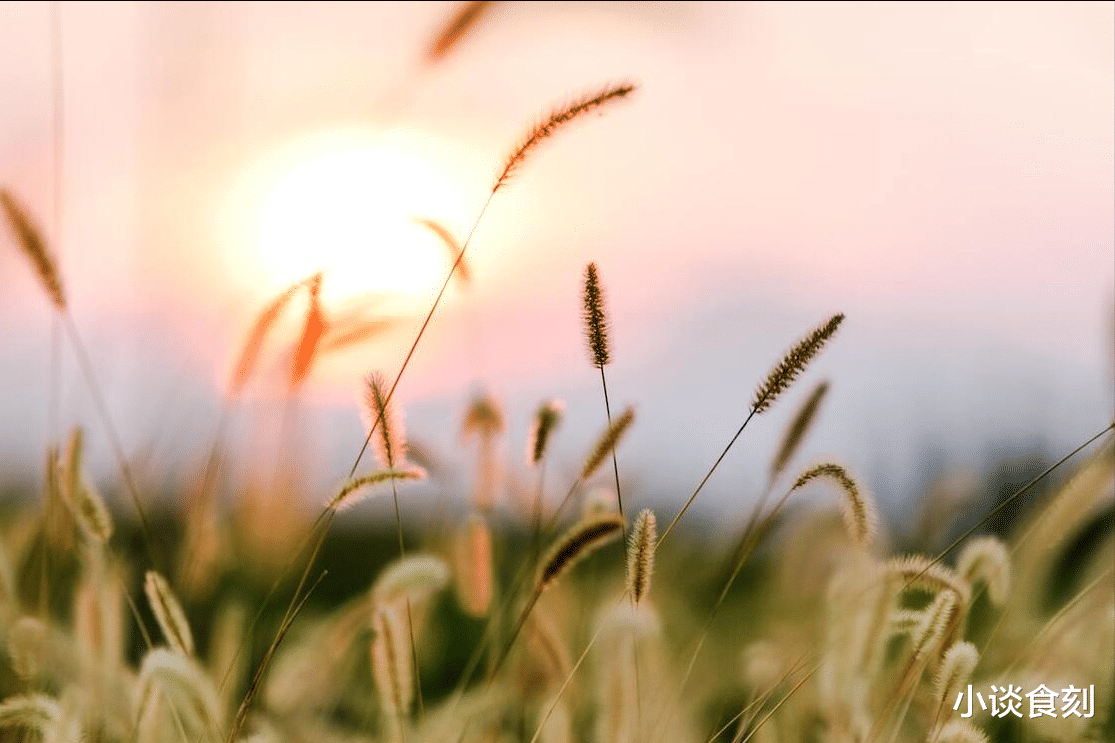 七月十九处暑节,今年处暑不一般,有3个特殊之处,分别指的啥?
