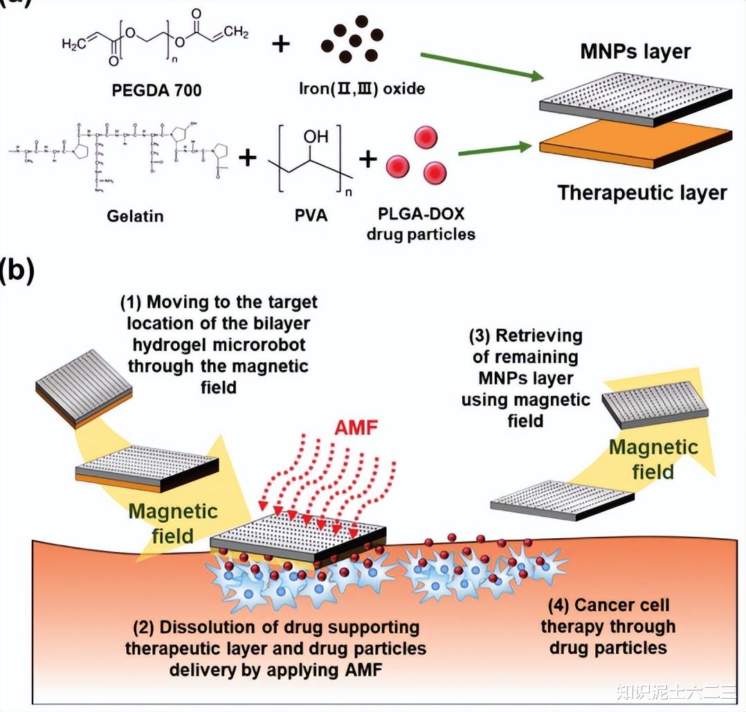 水凝膠微型機(jī)器人，材料多樣性能優(yōu)