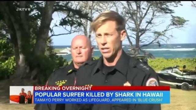 《加勒比海盗》男演员佩里在夏威夷冲浪时遭鲨鱼攻击身亡