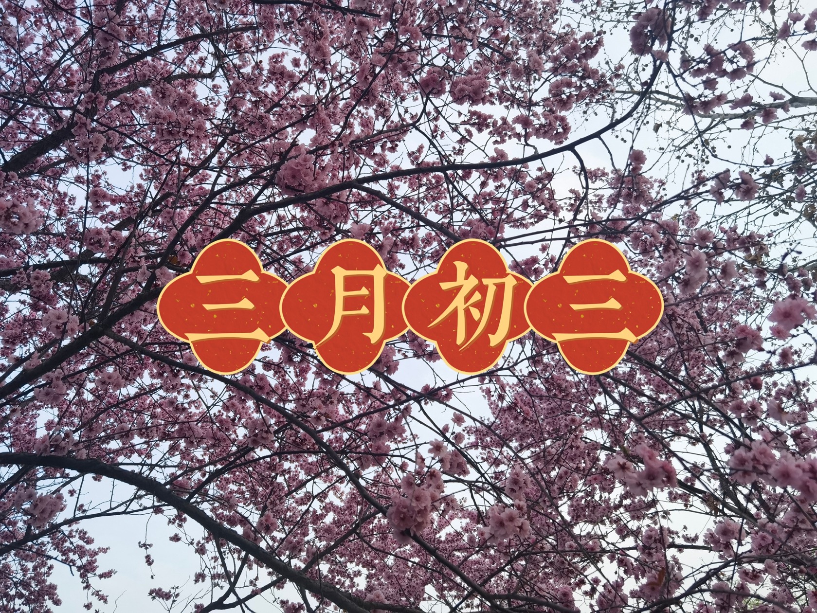 明日三月初三,再忙也要记得“吃4样、做1事、忌1事”,大吉大利人兴旺!