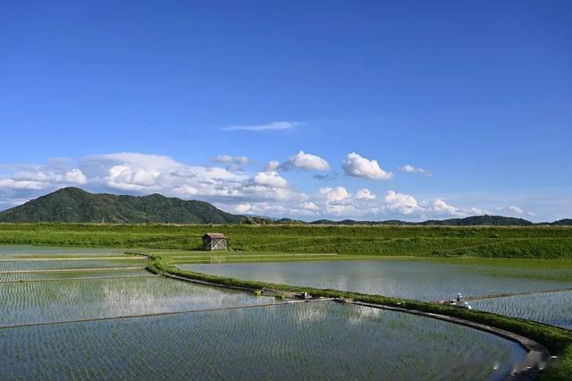 别只盯着公务员,电网、水务、中储粮下半年招人,应往届生冲!