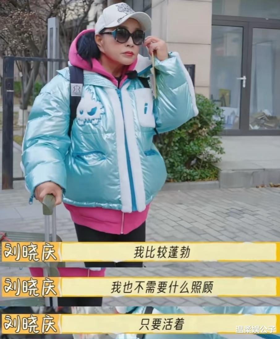 刘晓庆发17字内涵后，再看她的心境，央视当年的评价终于有人信了