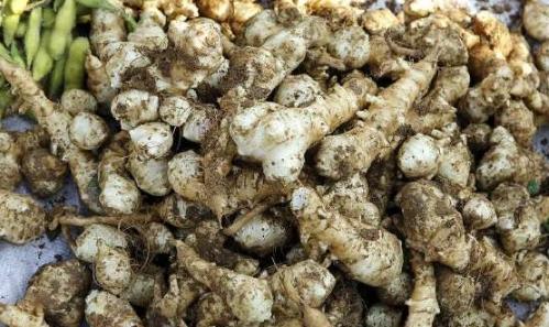 昔日80年代最火“下饭菜”,现被冷落难发现,有它多吃一碗饭!