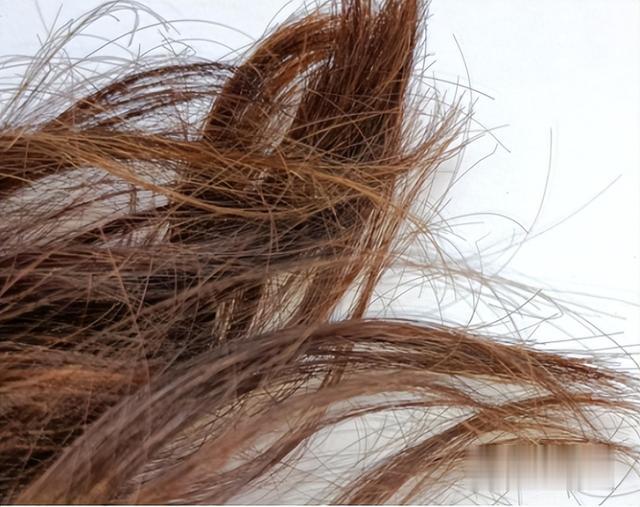 寿命长短,看脸就知道?寿命短的人,一般会有4个特征