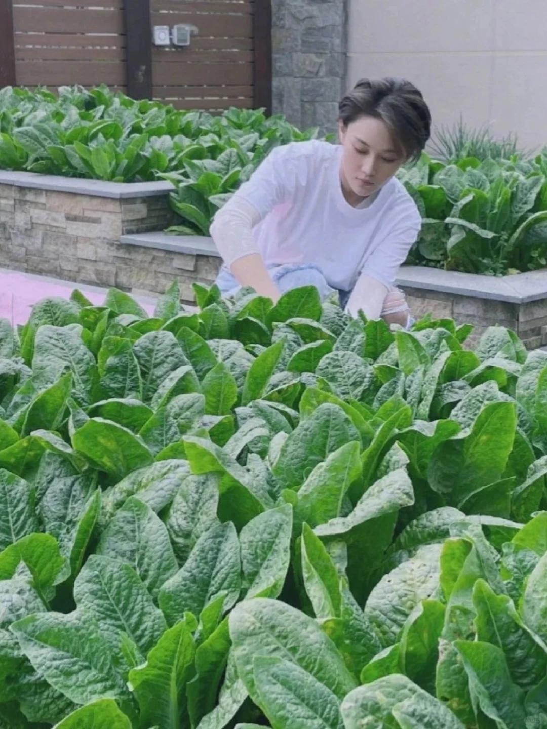 张馨予的4000万豪宅,因“满院的鲜花果蔬”走红,让人向往!