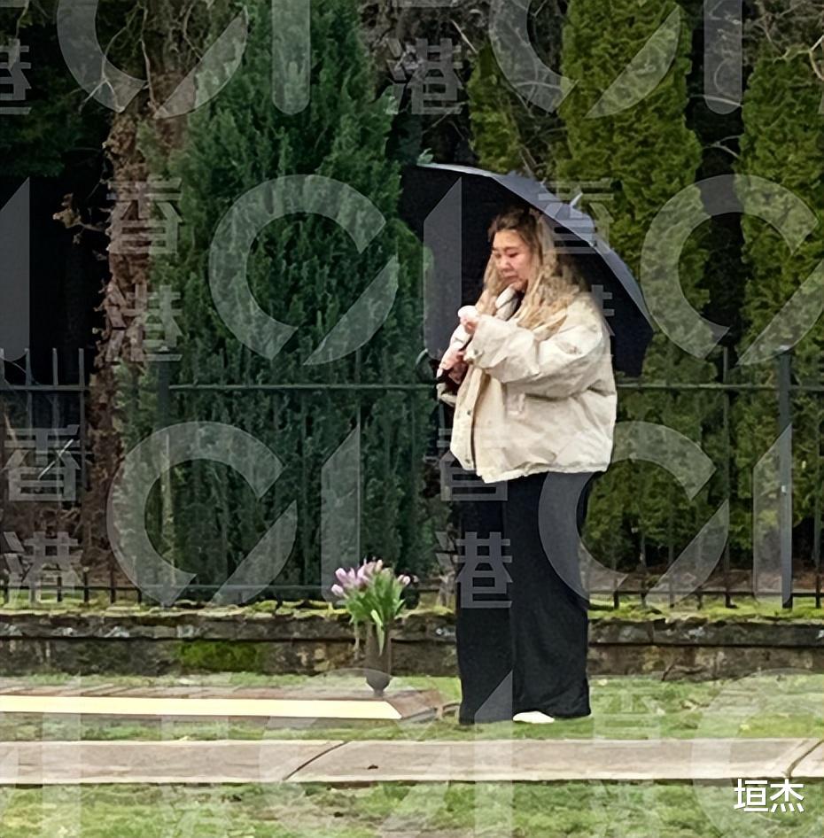 郑欣宜加拿大隐秘产子引热议，外籍男友Benjamin浮出水面