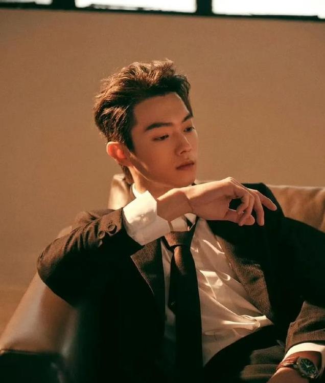 平心而论,内娱真正的绝色美男只有12位,他们酷帅雅痞,清新性感