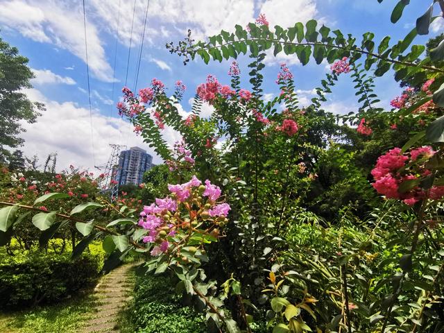 我带83岁老爸去医院看心内科与骨科医生，从早上忙到晚上，真累