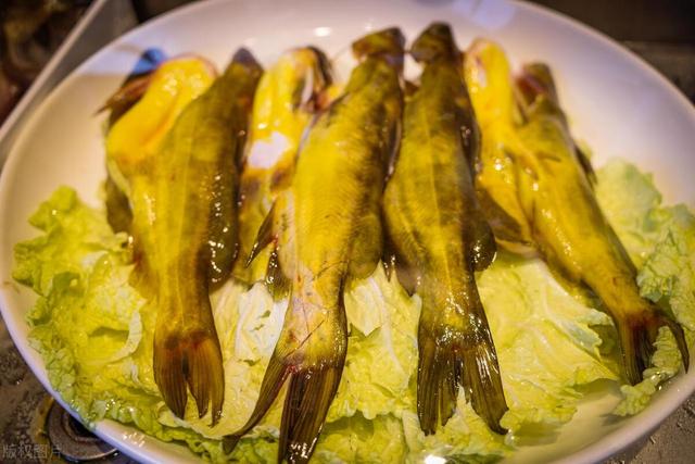 这种黄骨鱼不建议吃,我也今天才知道,很多人一直在买,建议看看