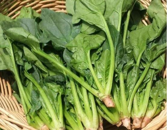 60岁以后不能吃番茄？医生忠告:若想活到90岁，这3种蔬菜更要少吃