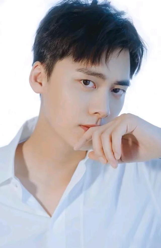 很喜欢两位青年男演员还能复出吗?他们不仅长相帅气演技精湛。