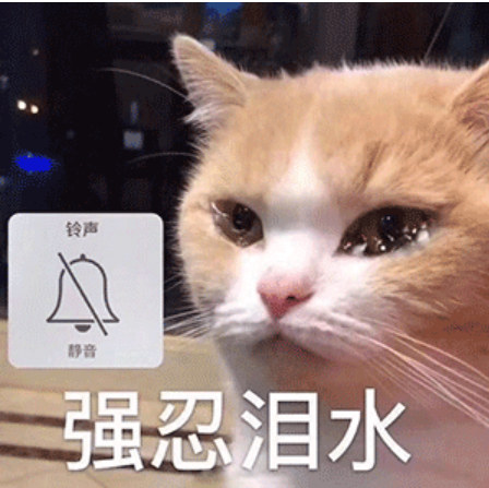 今年秋招，惨的不是24届，而是「0实习、0经验」的25届…