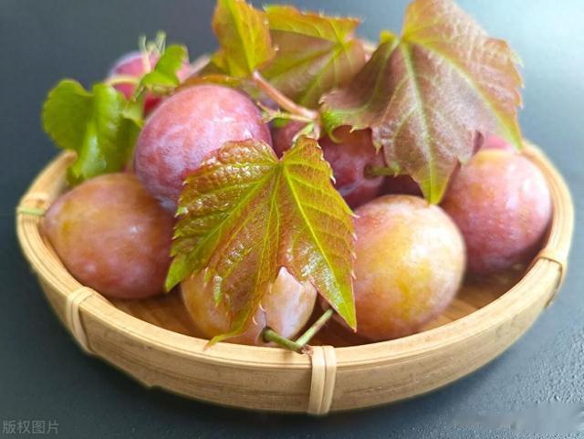 西梅是肠道的清洁工？主任医师强调：想肠道通畅，多吃这些蔬果