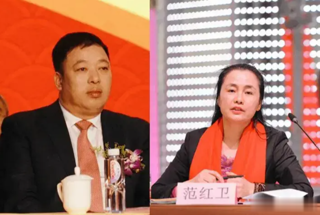 中国又杀出一匹黑马!年入8117亿,远超华为成最大民企,她凭啥?