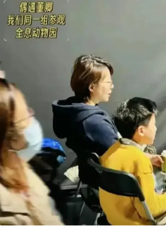 消失3年后,51岁董卿登顶热搜,一句“她自由了”网友却不淡定了