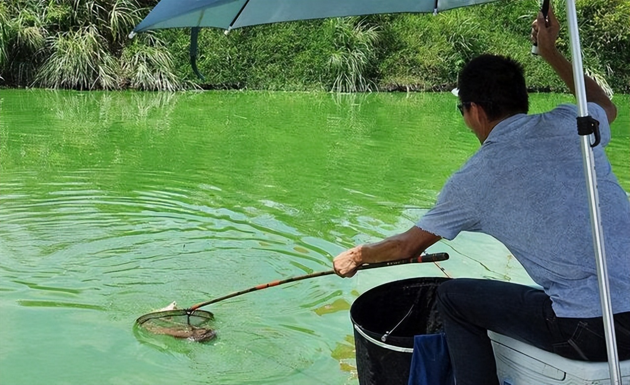 春季钓鱼，不仅要考虑钓位、钓法，还要时刻关注风向的变化！