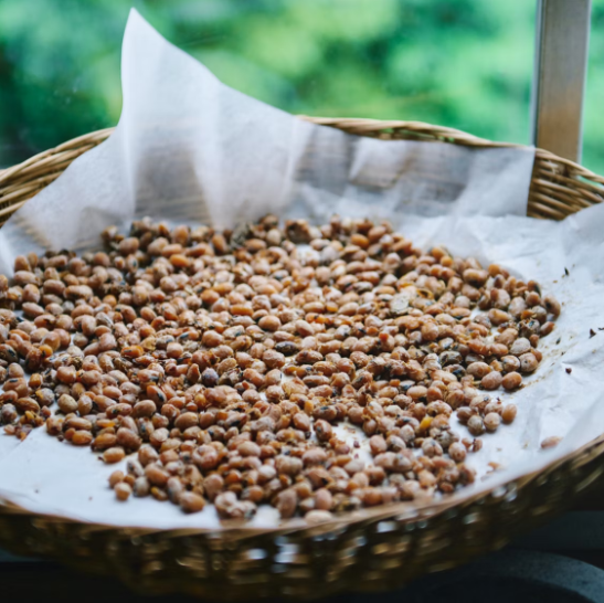 从140斤到100斤,从这10个方面自律,生活化减脂才能有效减肥!