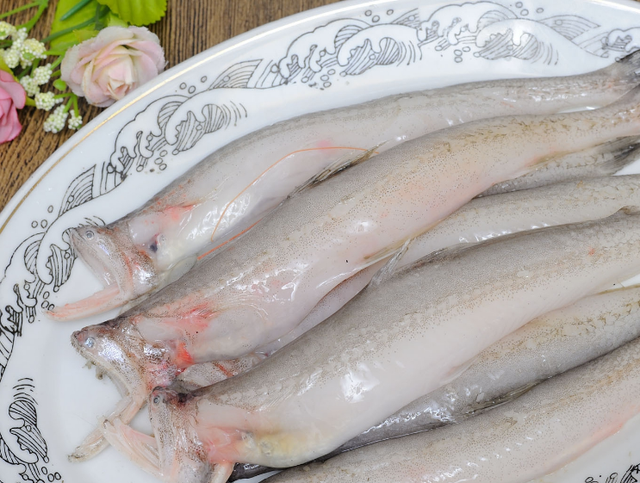 居然比鲤鱼还要难吃?钓鱼佬眼中最难吃的5种鱼,白给都不想要?