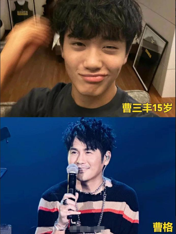 《爸爸去哪儿》再次证明,基因这玩意儿,真的很玄学~