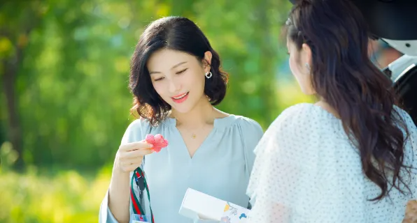 44集都市家庭大剧!刘涛、李光洁、胡可、李宗翰领衔!阵容豪华,全是熟面孔