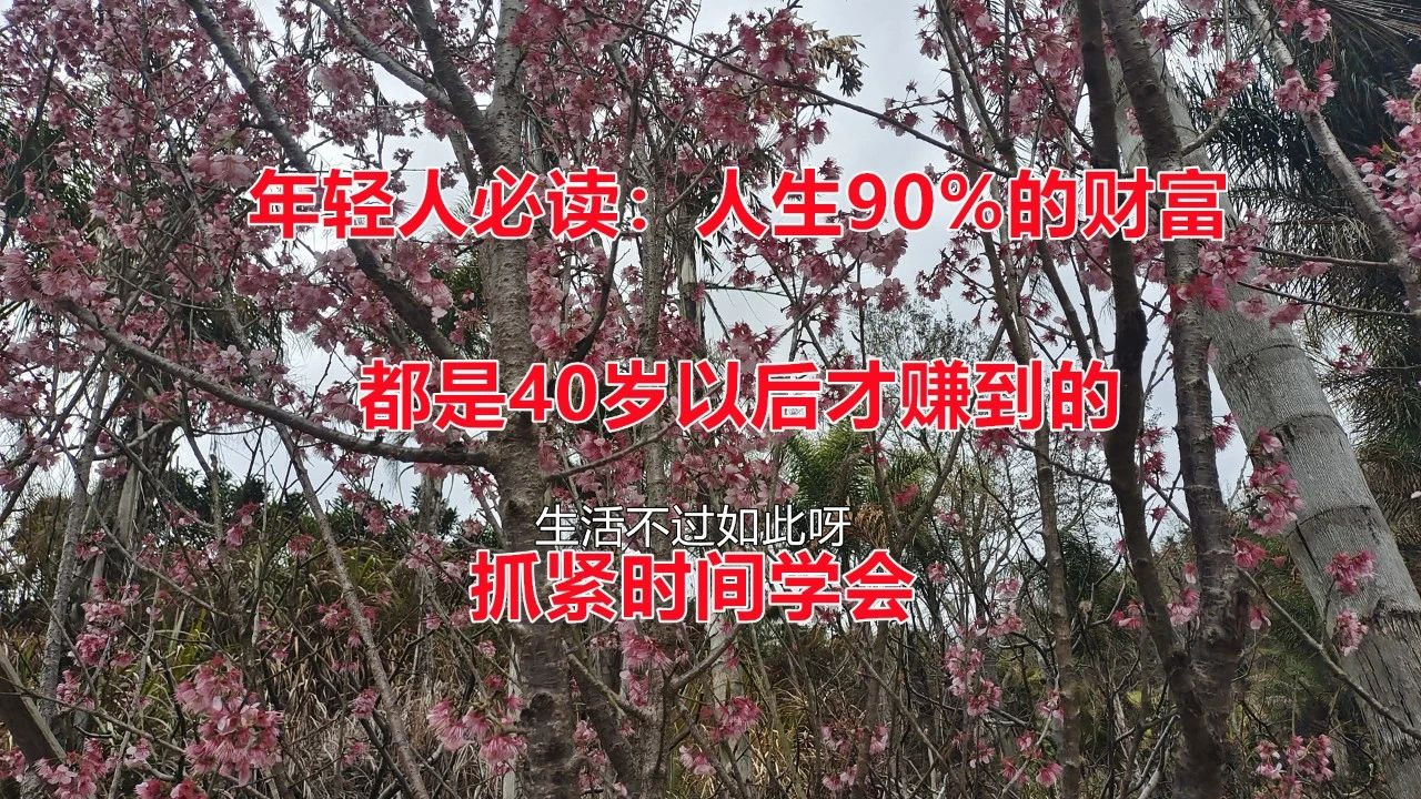 年轻人必读：人生90%的财富都是40岁以后才赚到的，抓紧时间学会