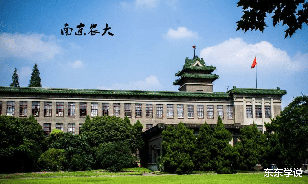 南农一大学生冒充小学生，付费与女生“骑大马”，遭多名女生维权