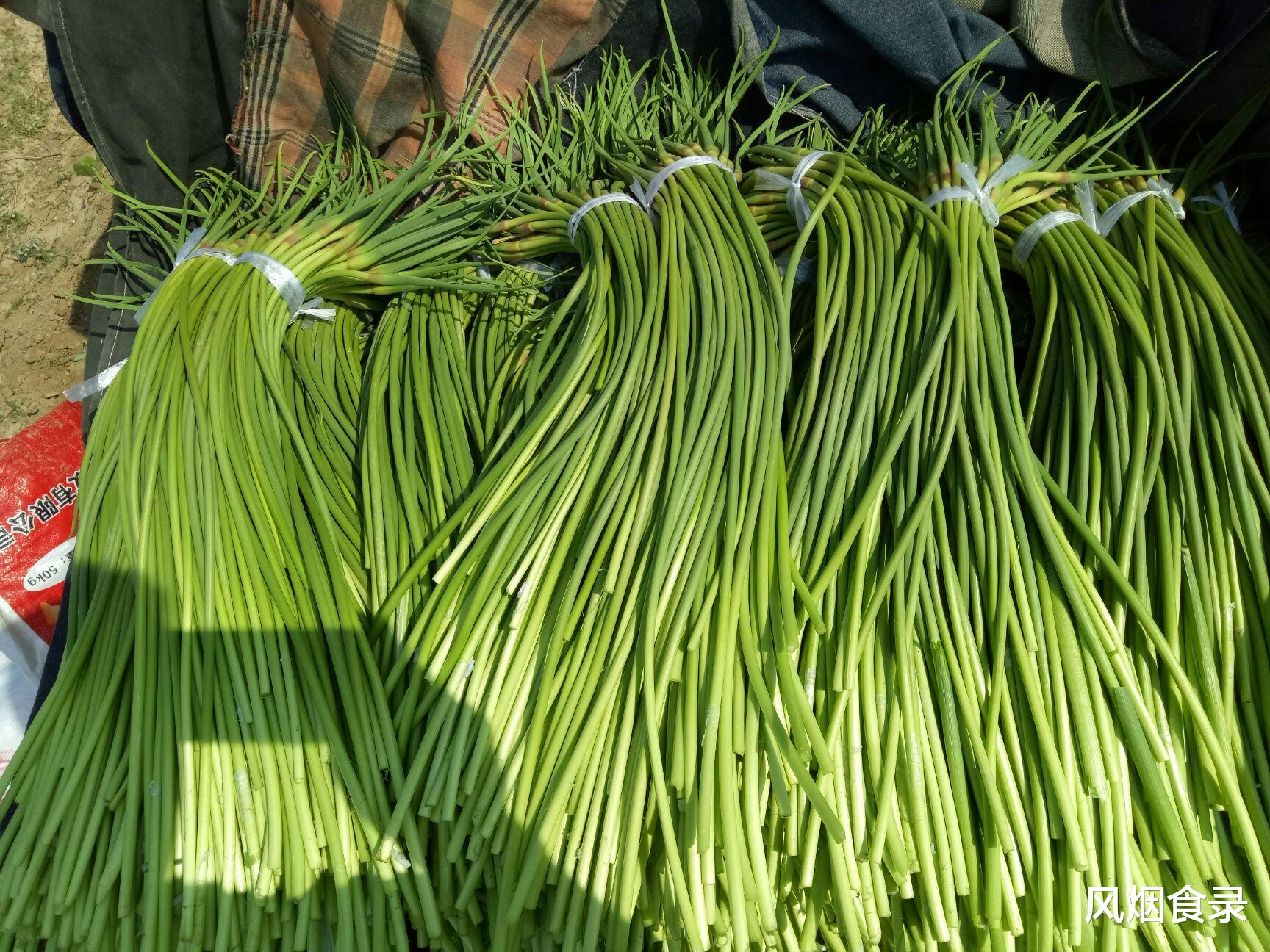 “红帽”蒜薹和“白帽”蒜薹，要选哪种？差别不小，建议弄懂再买