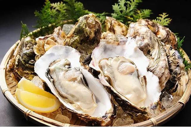 明明长得都一个样,为啥一个叫生蚝,一个叫牡蛎?原来差别在这!