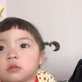 春潮晚舟度